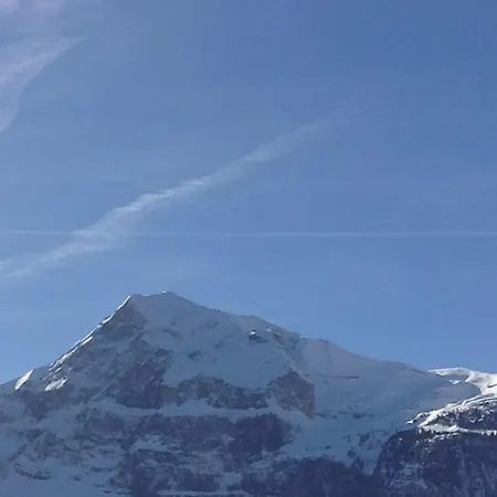 Modern Alpine - * Les Carroz d'Arâches