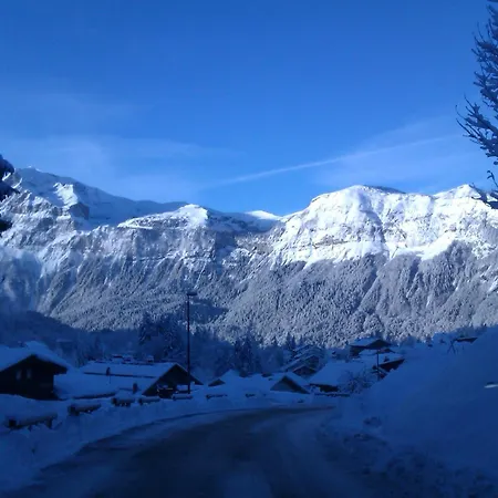 Modern Alpine - *