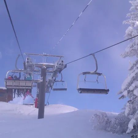 Modern Alpine - *