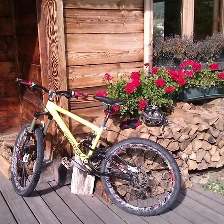 Chalet Modern Alpine -